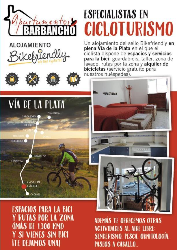 Barbancho Apartament