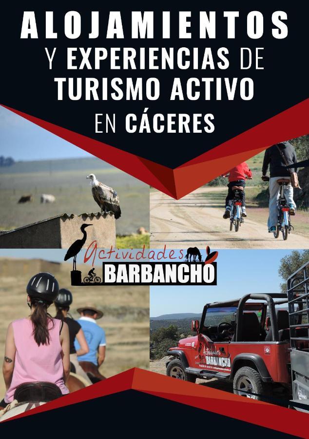 Apartament Barbancho *
